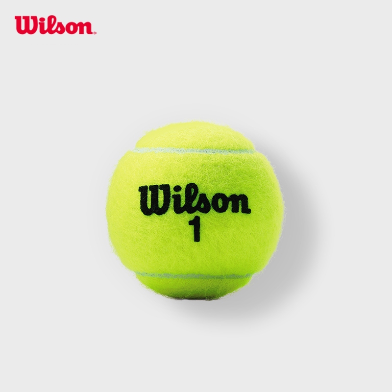 Wilson Championship Extra Duty Tennis Balls (4 cans)