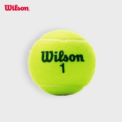 Wilson US OPEN Green Tournament Tennis Balls All Court Training (4 Cans, 12 Balls)