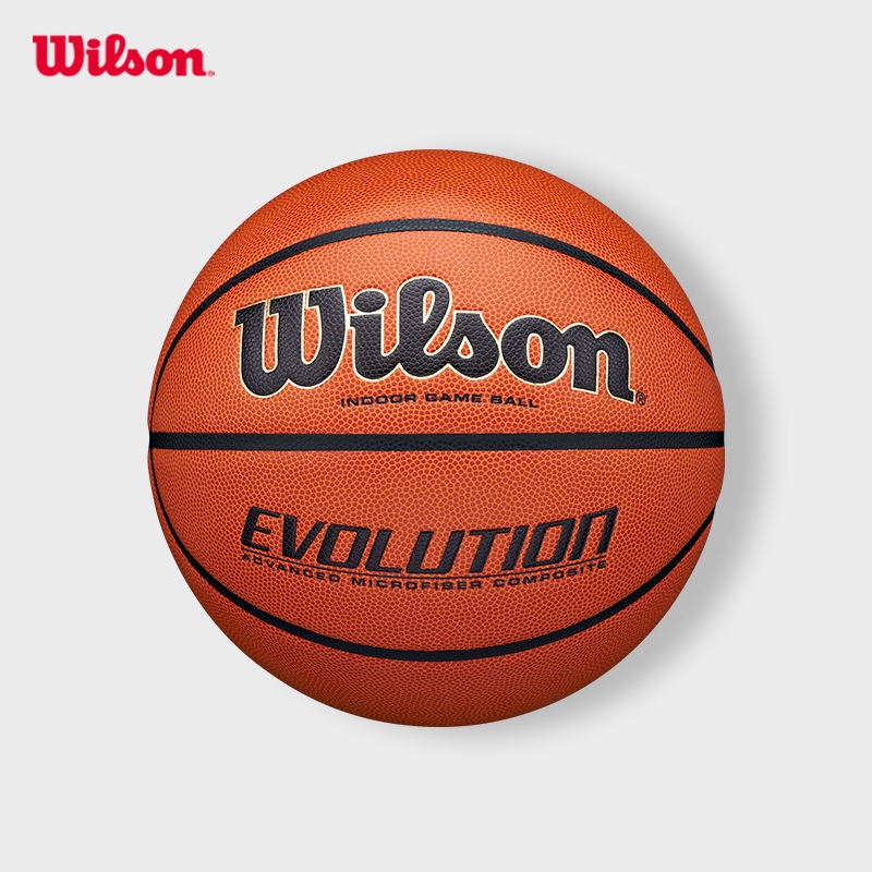 Wilson Evolution 295 Basketball
