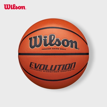 Wilson Evolution 295 Basketball