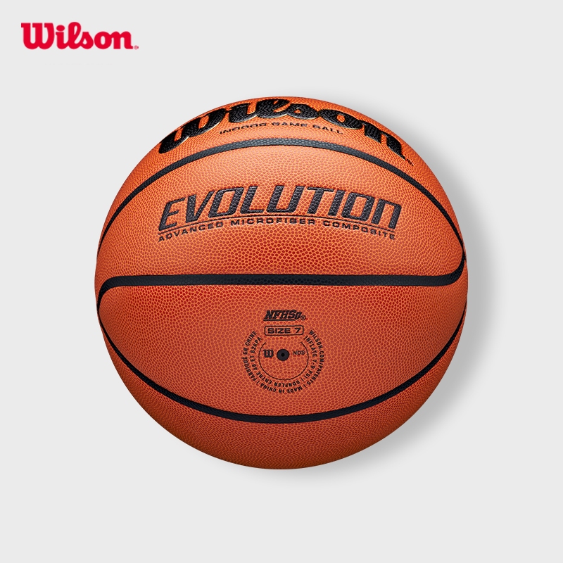 Wilson Evolution 295 Basketball