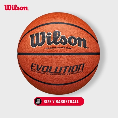 Wilson Evolution 295 Basketball