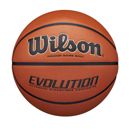 Wilson Evolution 295 Basketball