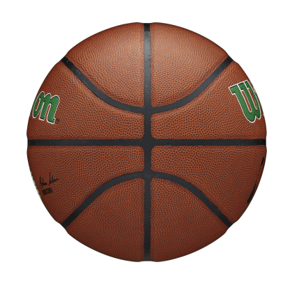 NBA Boston Celtics Official Indoor/Outdoor Basketball