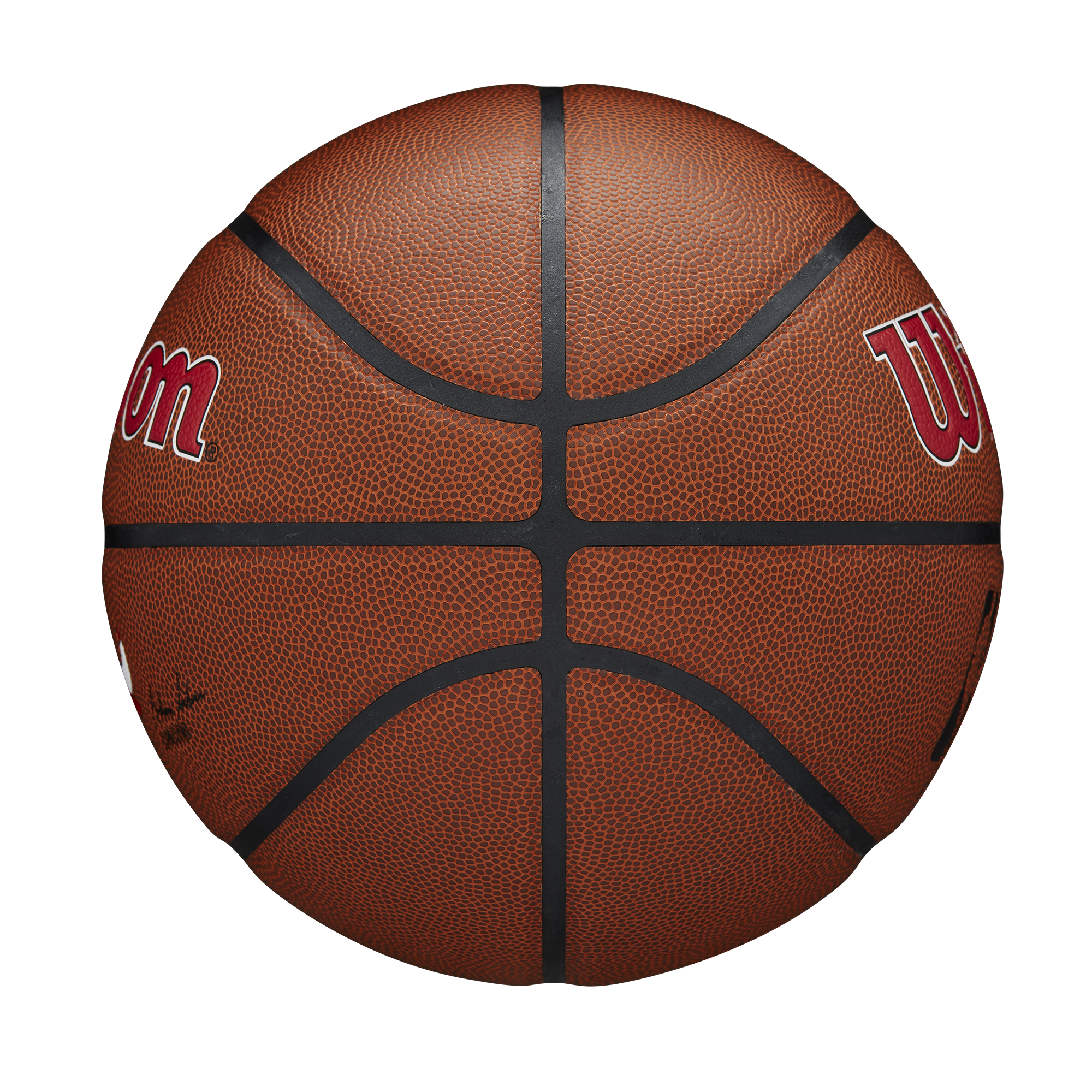 Wilson NBA Team Alliance Basketball