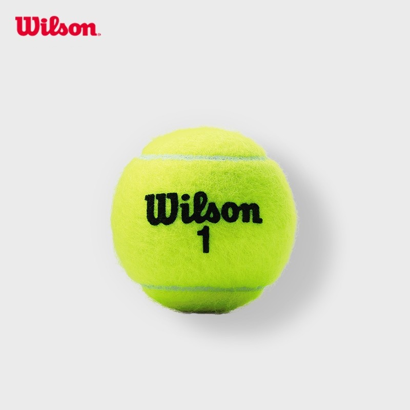 Wilson Championship Extra Duty Tennis Balls