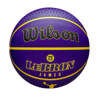 NBA Player Icon Outdoor Basketball Lebron James