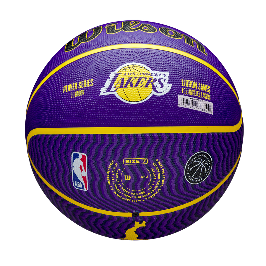 NBA Player Icon Outdoor Basketball Lebron James