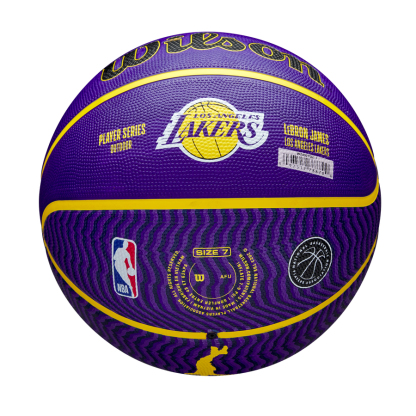 NBA Player Icon Outdoor Basketball Lebron James