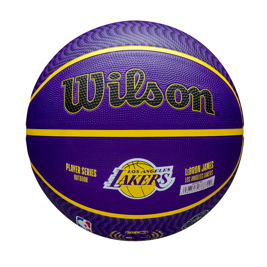 NBA Player Icon Outdoor Basketball Lebron James