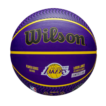 NBA Player Icon Outdoor Basketball Lebron James