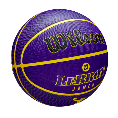 NBA Player Icon Outdoor Basketball Lebron James