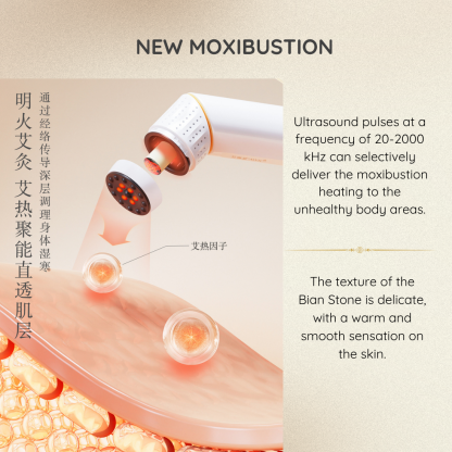 Guasha & Moxibustion Heat Massage Device For Pain Relief, TCM Healing
