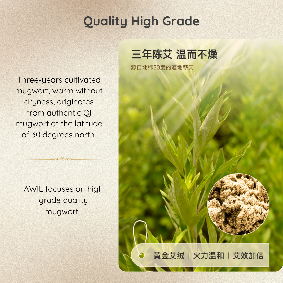 Guasha & Moxibustion Heat Massage Device For Pain Relief, TCM Healing
