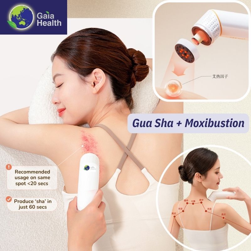 Gaia BianStone Moxibustion Heat Therapy Device 