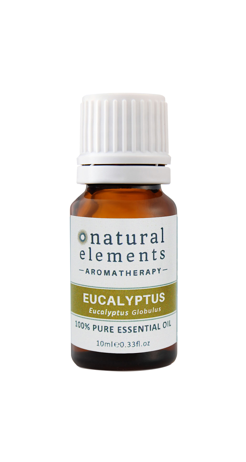 Eucalyptus globulus
