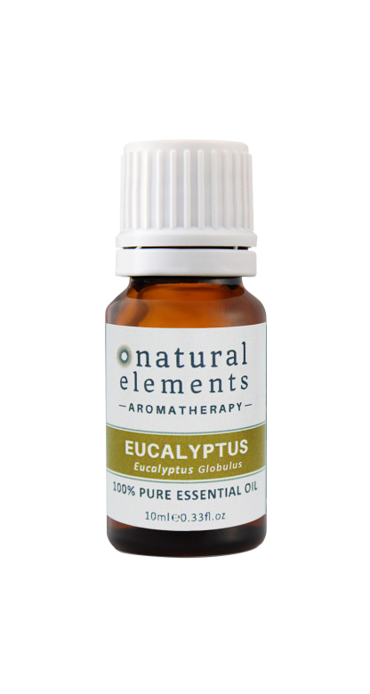 Eucalyptus globulus