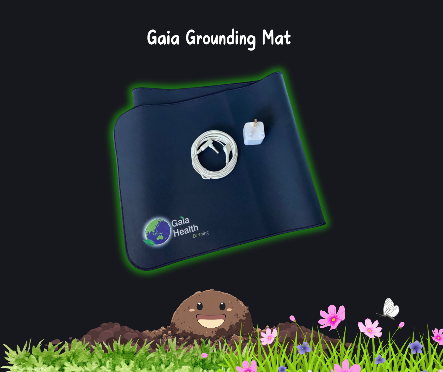 [Premium Gift] Your Health Symphony Box