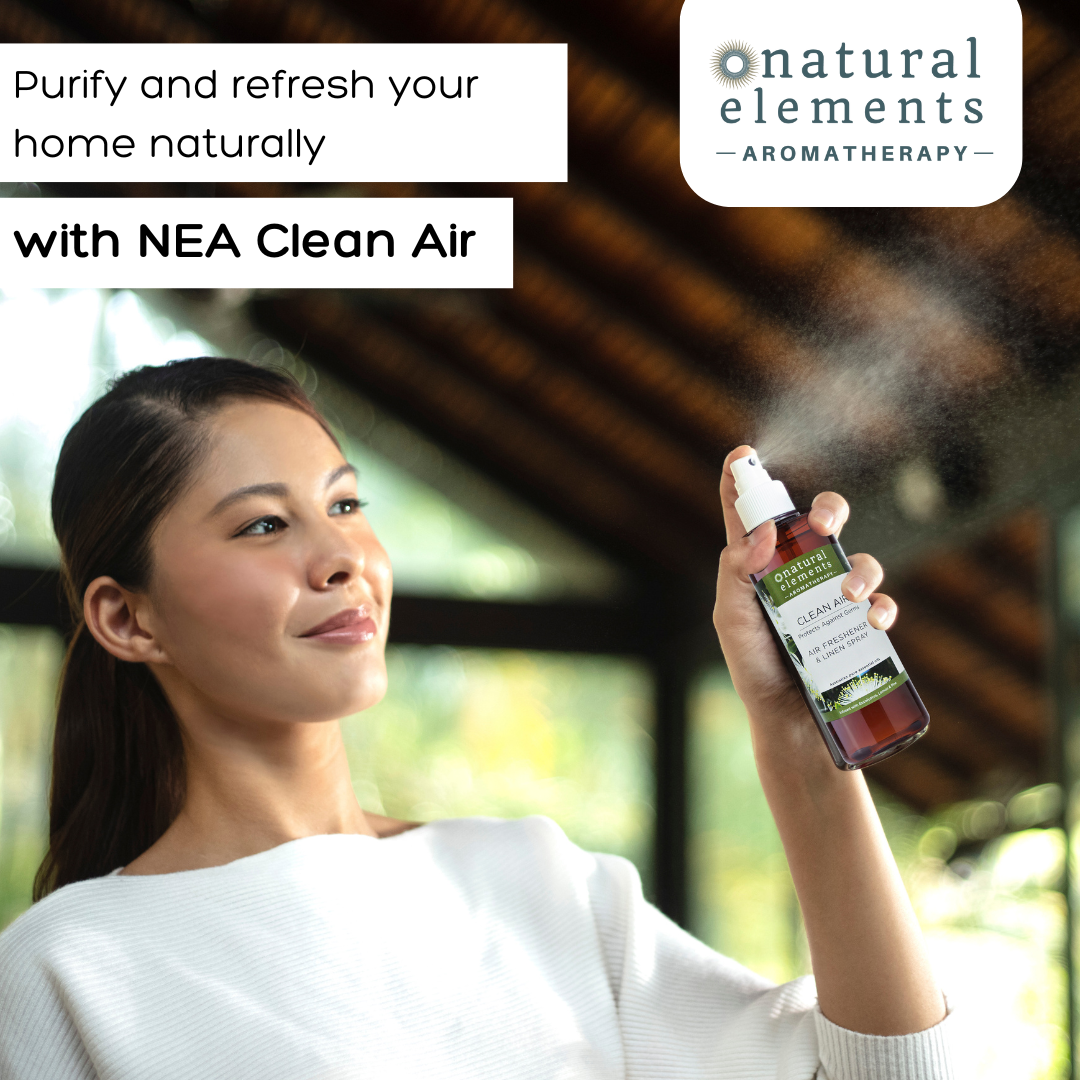 CLEAN AIR - AIR FRESHENER