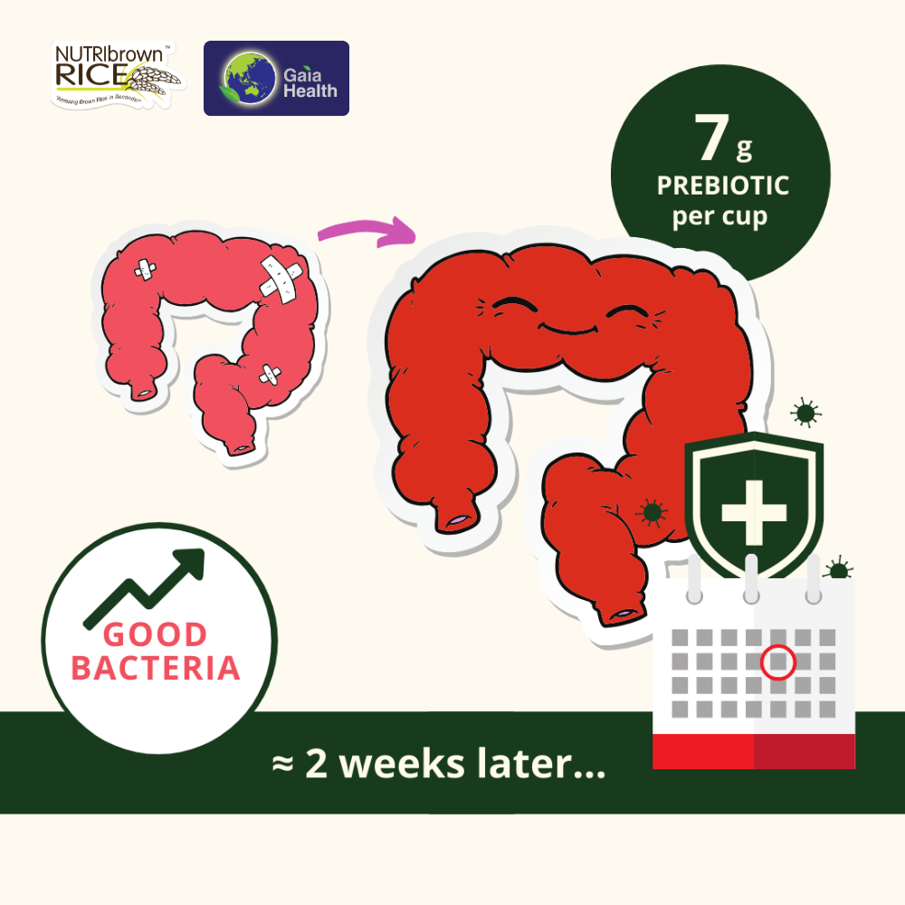 NutriBrownRice® - Original (Prebiotic, No Sugar Added): Improve your Digestive Health