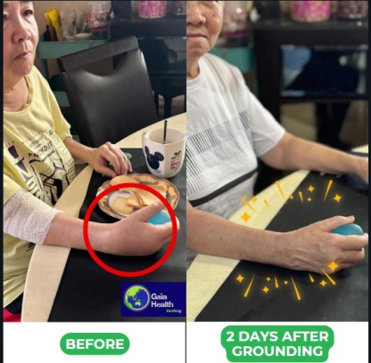 Indoor Touching Green Concept: Gaia Grounding/Earthing Mat 