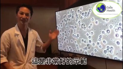 [Negative Charge Electron Therapy] Indoor Touching Green Concept: Gaia Grounding/Earthing Mat 