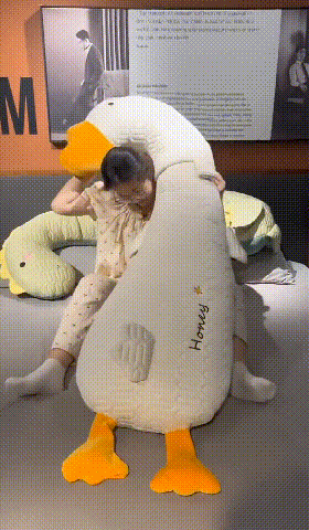 下载 (1) (1).gif