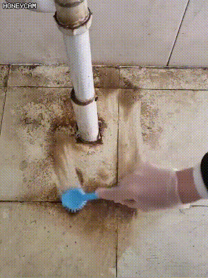 123_15.gif