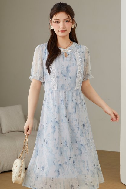 Ink Wash Chinese Style Button Dress DXQ1790