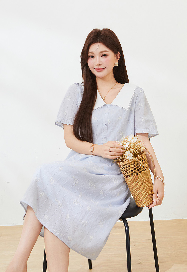 Color blocking doll collar embroidered dress，FXQ7255