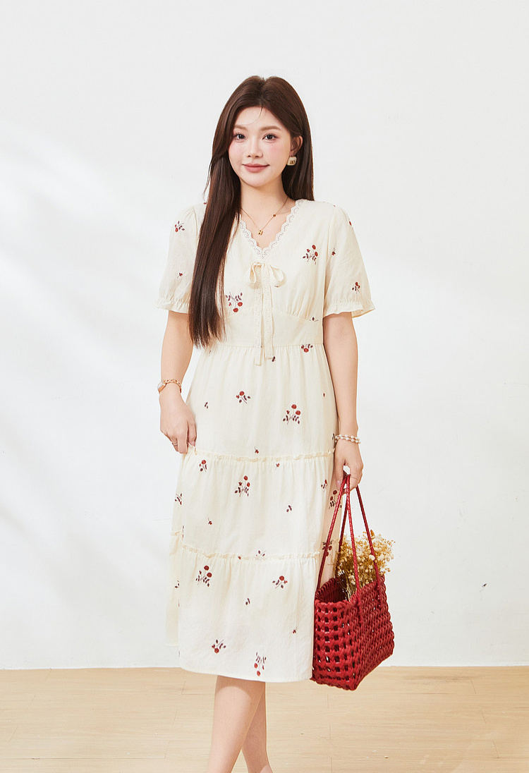 Embroidered floral V-neck cake dress，FXQ7335