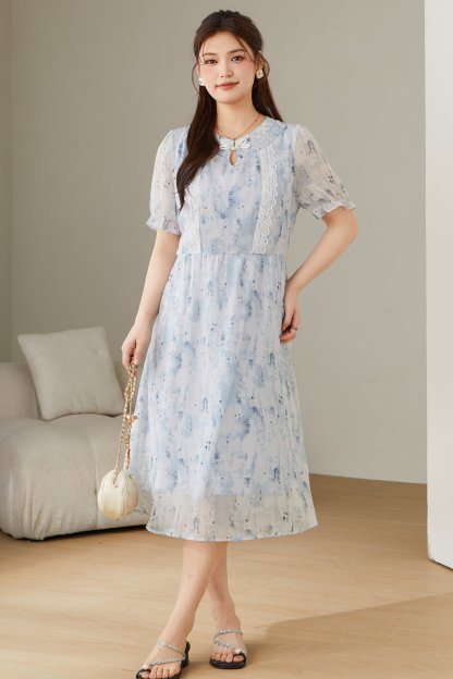 Ink Wash Chinese Style Button Dress DXQ1790