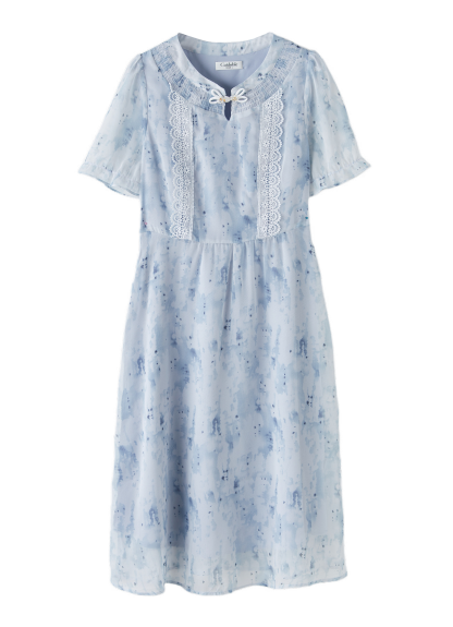 Ink Wash Chinese Style Button Dress DXQ1790