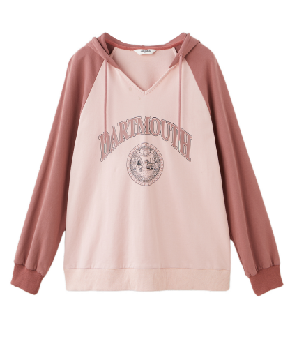 Color Block Raglan Letter Print Sweatshirt ECZ1235N