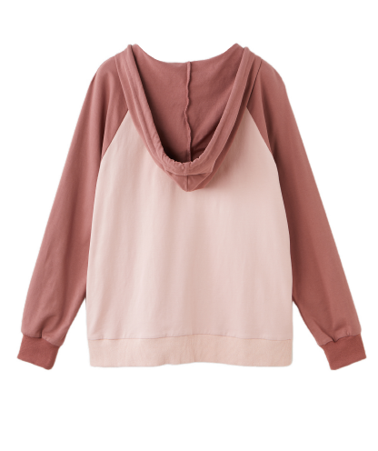 Color Block Raglan Letter Print Sweatshirt ECZ1235N