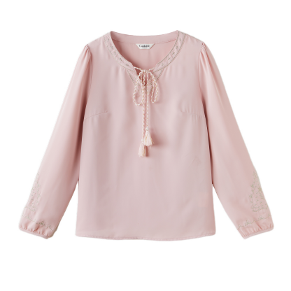 Embroidered V-neck Lantern Sleeve Blouse ECA2623