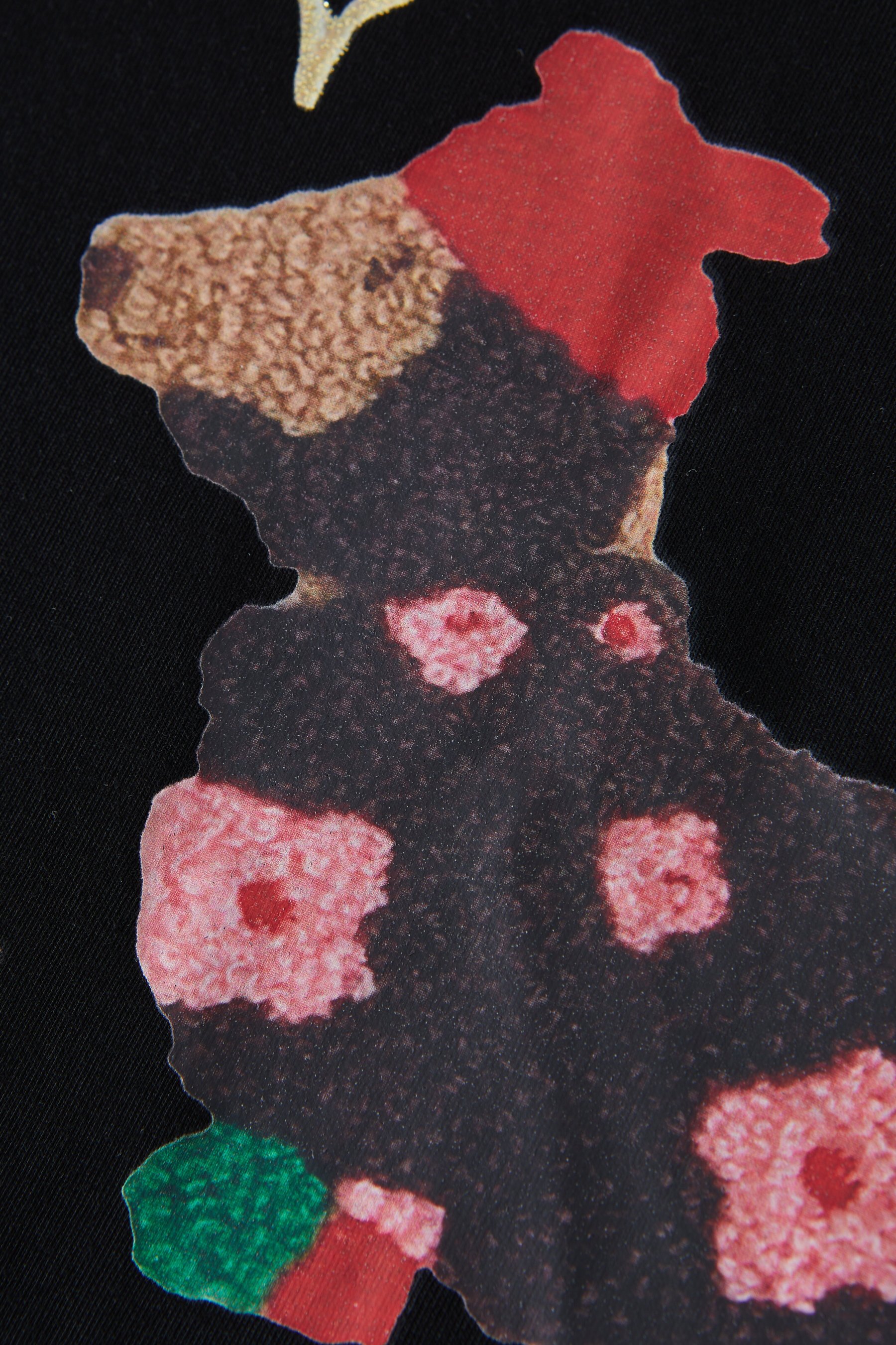 Puppy Print Design Sense Niche T-Shirt EXZ5153