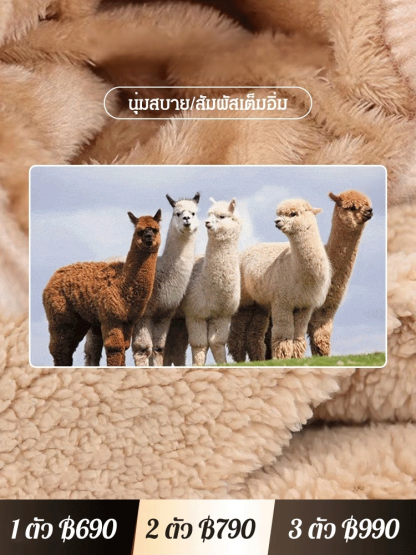 หมวกกันลมปิดหูแคชเมียร์บริสุทธิ์