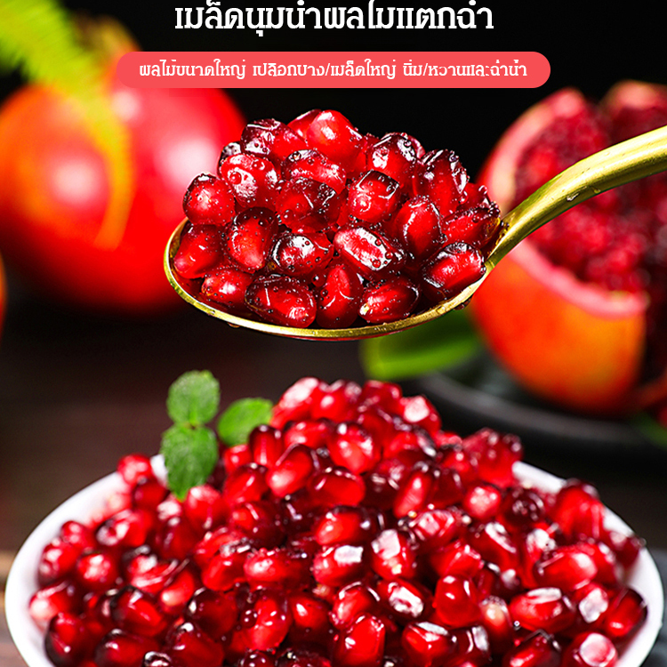 เมล็ดทับทิมพันธุ์นุ่มจากตูนิเซีย