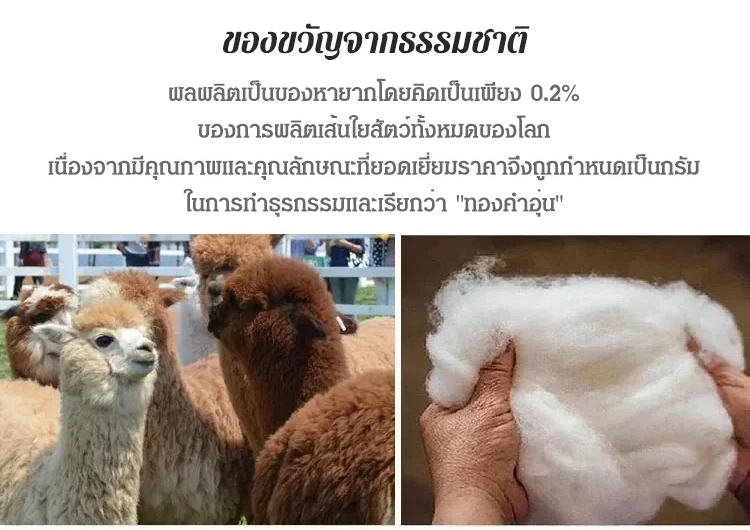 0_14.jpg
