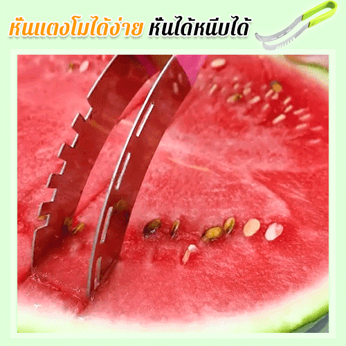 มีดหั่นแตงโมสแตนเลสอเนกประสงค์