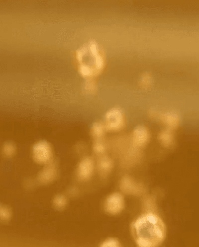 123_16.gif