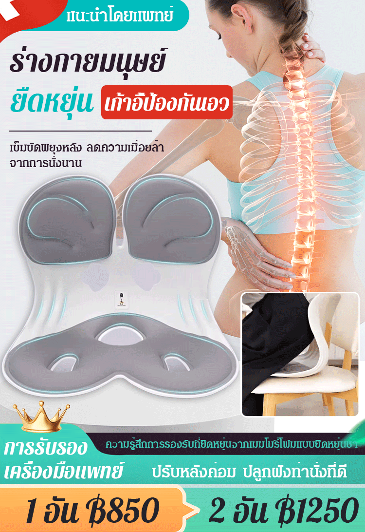 เบาะรองนั่งปรับท่านั่งจากญี่ปุ่น