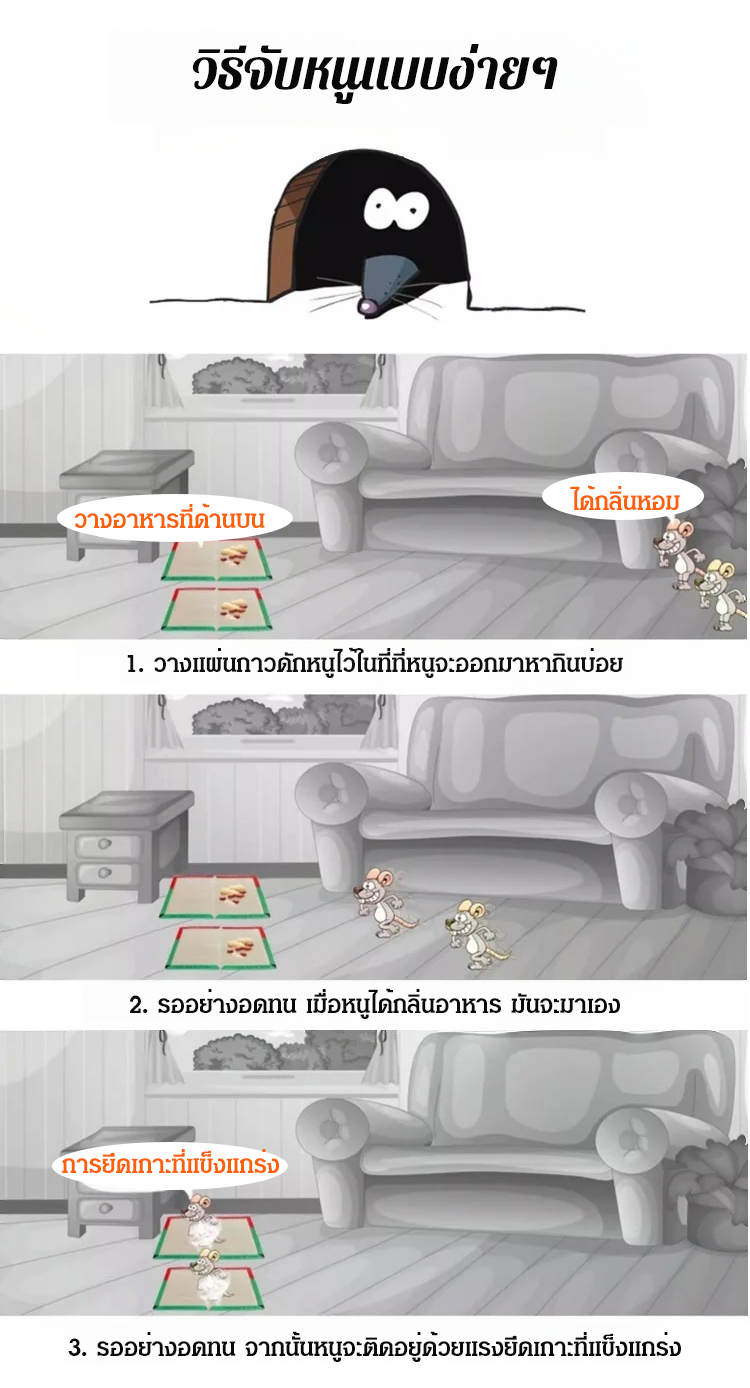 1_27.jpg