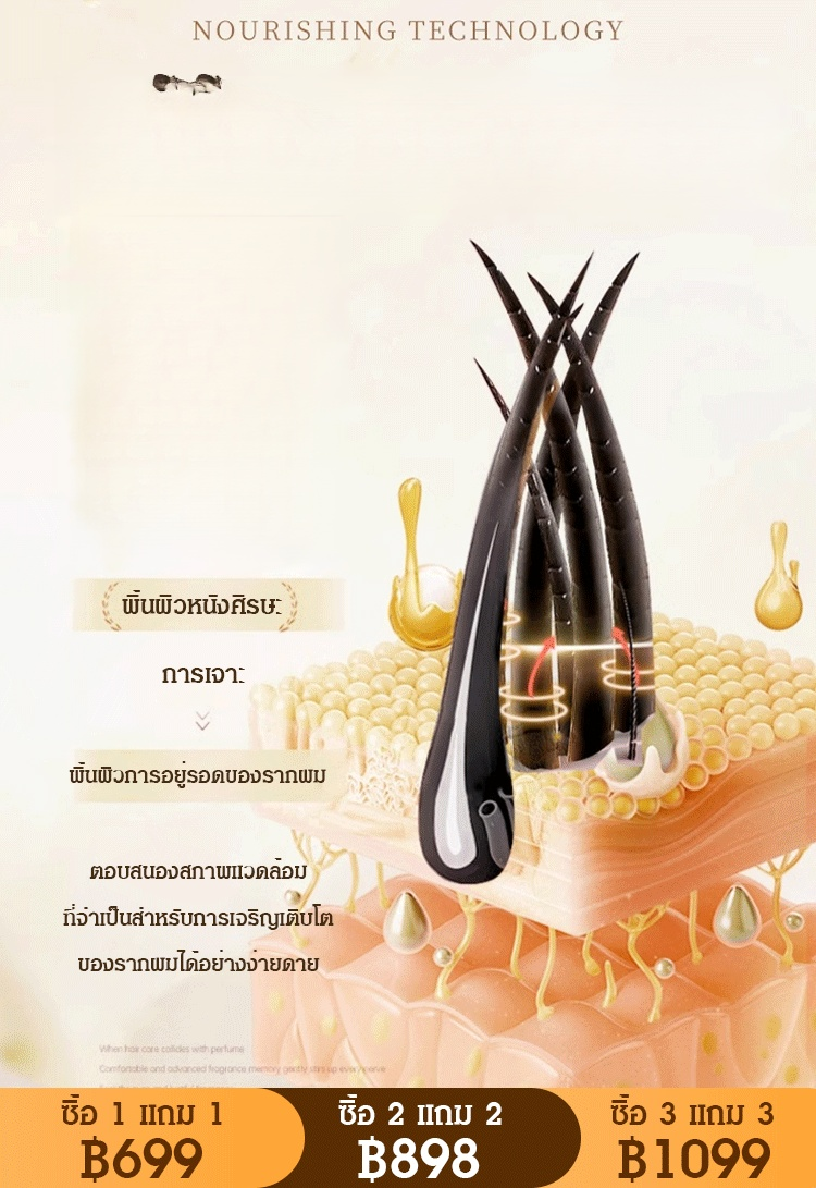 แชมพูปลูกผมโสม บำรุงผมดกดำ
