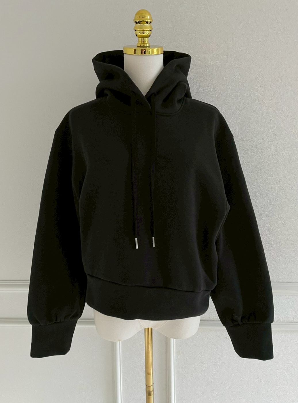 スウェットフーディ(sd78923)TH