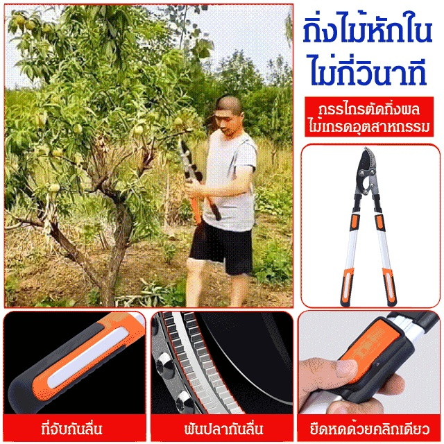 SK5 กรรไกรตัดกิ่งหนา