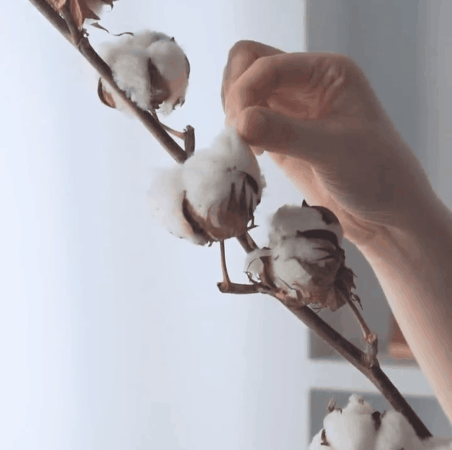 1620299590706139.gif