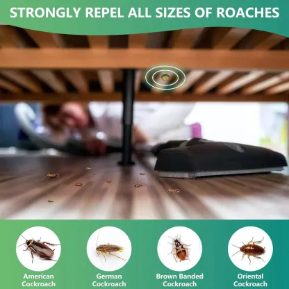 Cockroach Killer Gel (Pack of 2) @ Just Rs.599/-
