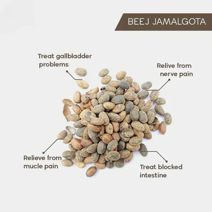 Jamalgota Ayurvedic Hair Growth Powder_ Buy 1 Get 1 Free @ Just Rs.599/-